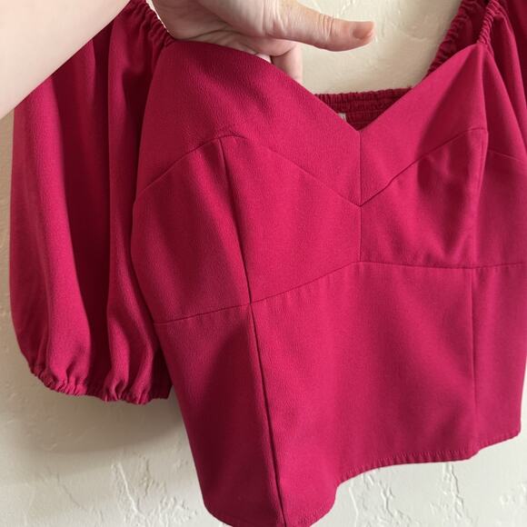 Abercrombie & Fitch Size Large Puff Sleeve Corset Sweetheart Top - Pink Smocked - Picture 4 of 10